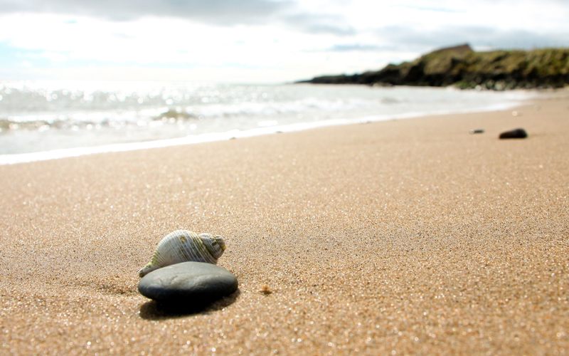 Home_Beach