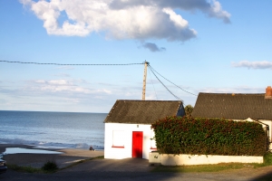 gal_IMG_0378website